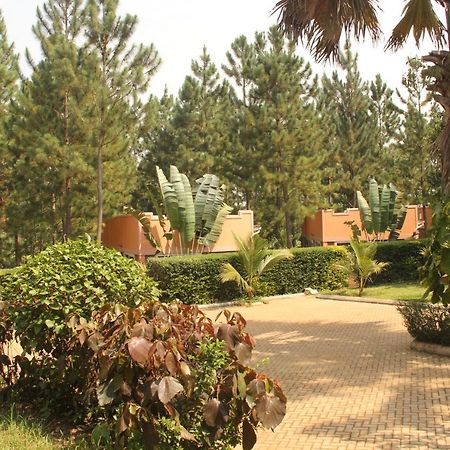 Saltek Forest Cottages Masindi Exteriér fotografie