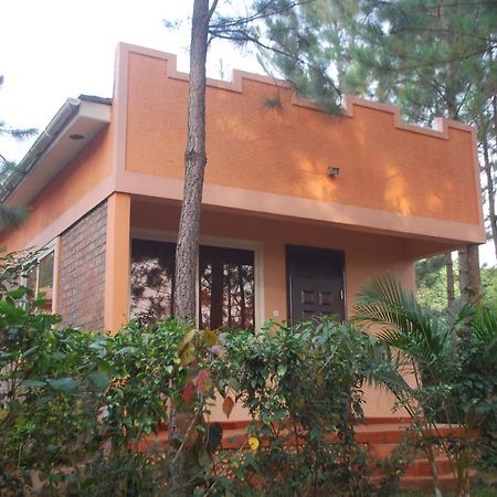 Saltek Forest Cottages Masindi Exteriér fotografie