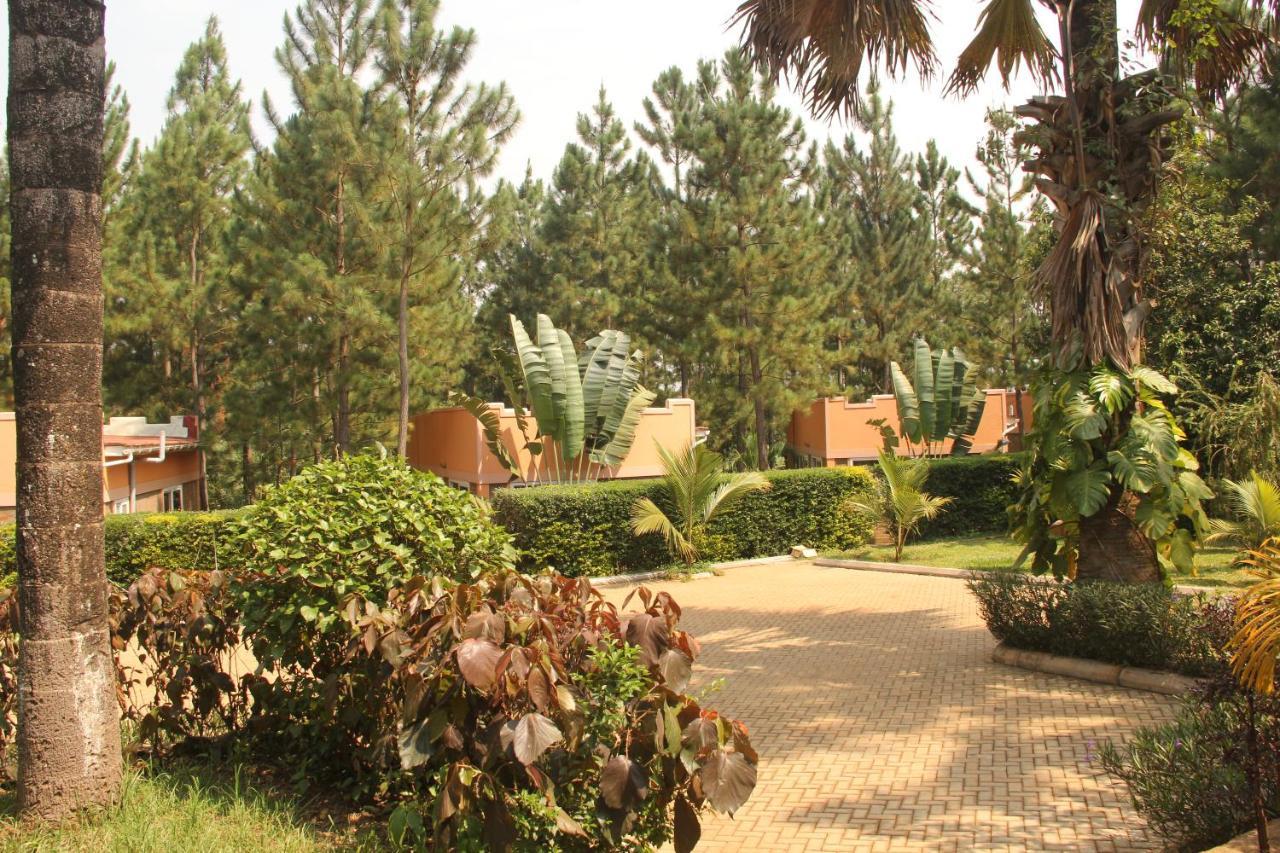 Saltek Forest Cottages Masindi Exteriér fotografie