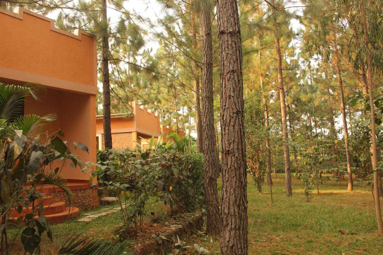 Saltek Forest Cottages Masindi Exteriér fotografie