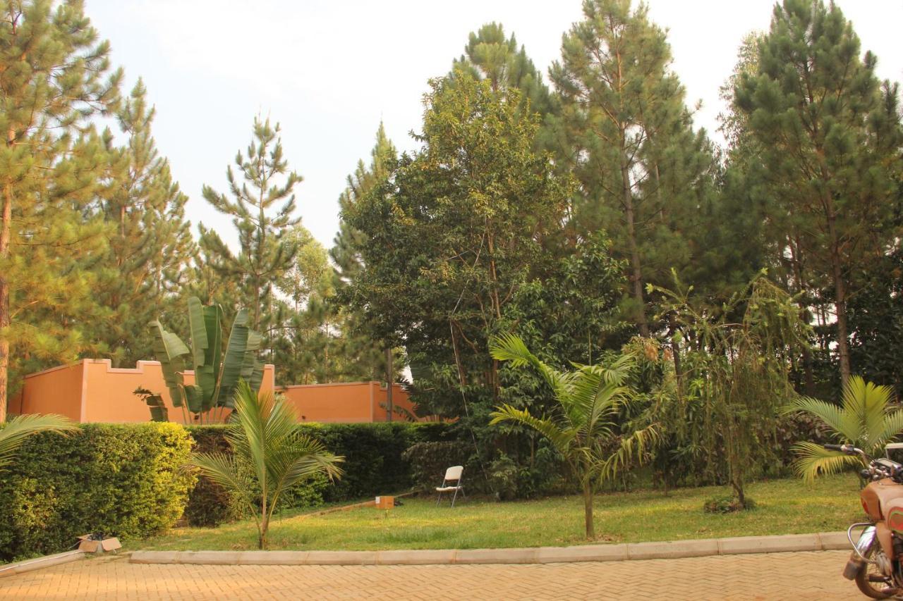 Saltek Forest Cottages Masindi Exteriér fotografie