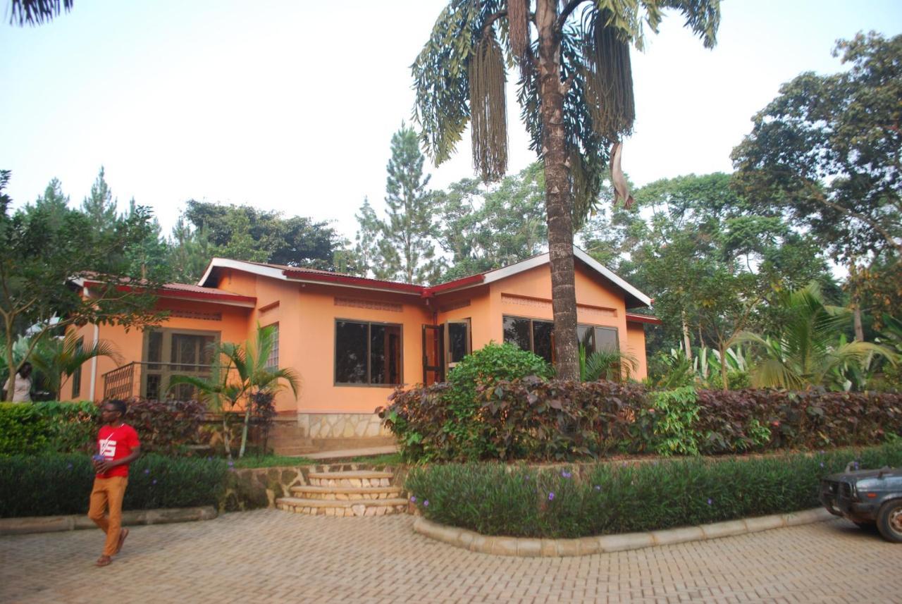 Saltek Forest Cottages Masindi Exteriér fotografie