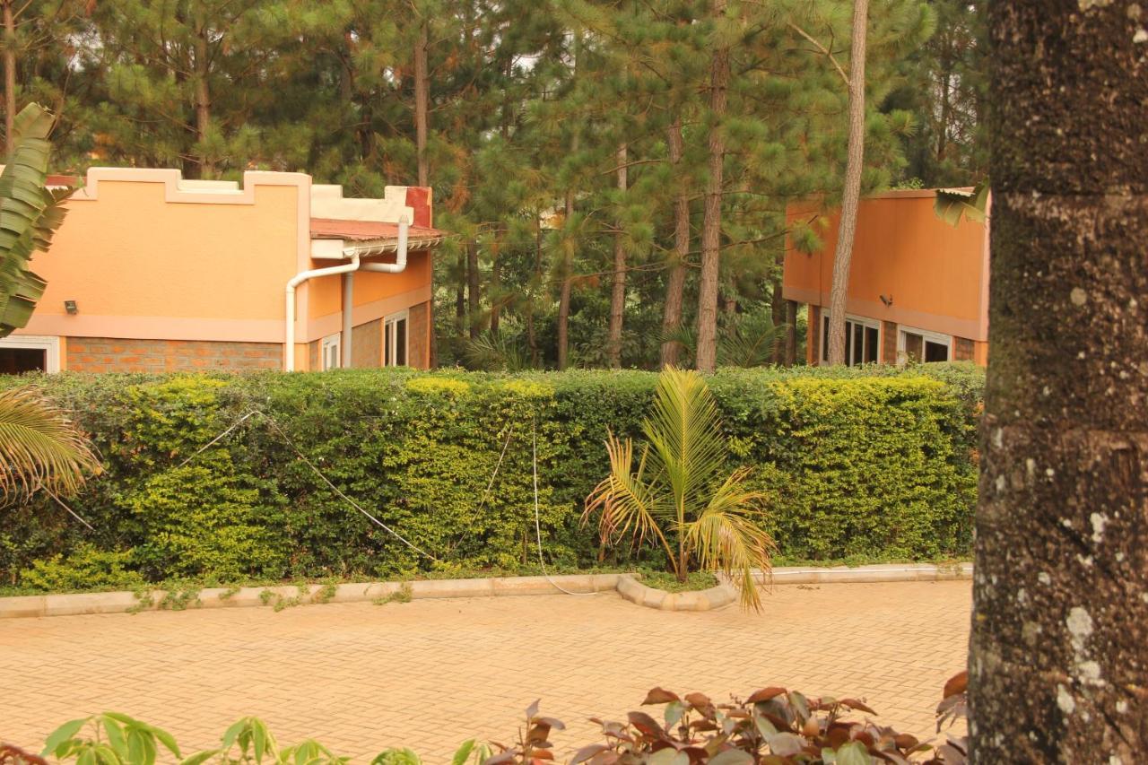 Saltek Forest Cottages Masindi Exteriér fotografie