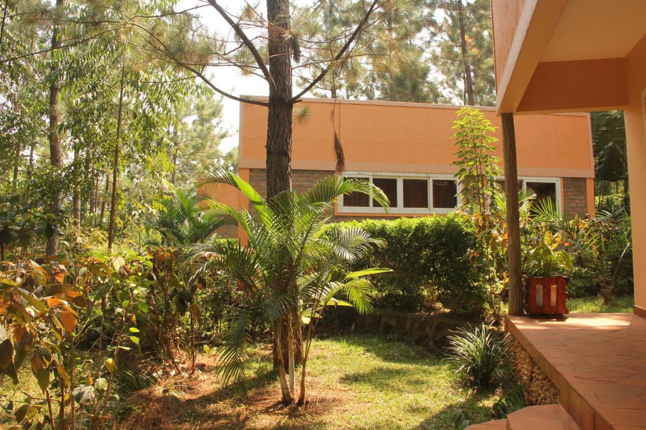 Saltek Forest Cottages Masindi Exteriér fotografie
