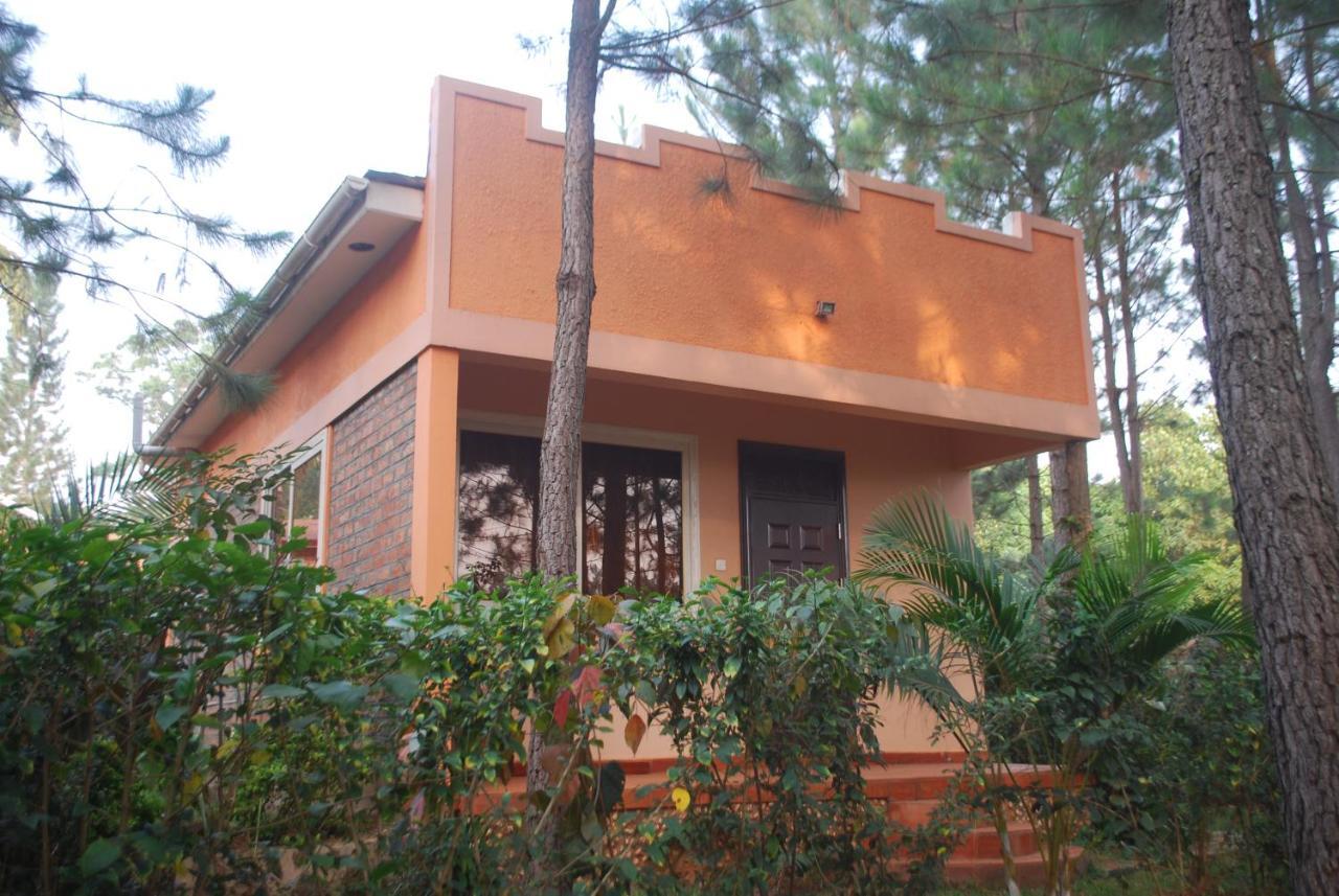 Saltek Forest Cottages Masindi Exteriér fotografie